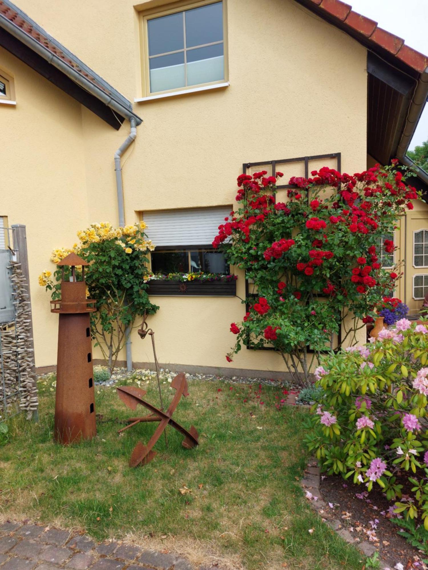 Ostseeferien In Lichtenhagen-Dorf Ferienwohnung Elmenhorst/Lichtenhagen ภายนอก รูปภาพ