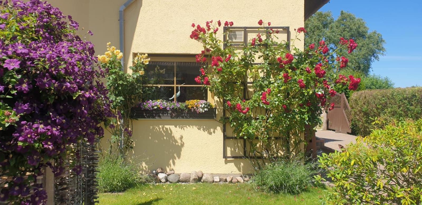 Ostseeferien In Lichtenhagen-Dorf Ferienwohnung Elmenhorst/Lichtenhagen ภายนอก รูปภาพ