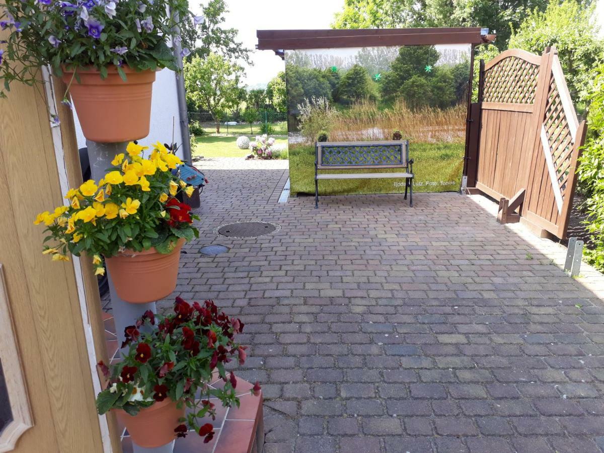 Ostseeferien In Lichtenhagen-Dorf Ferienwohnung Elmenhorst/Lichtenhagen ภายนอก รูปภาพ