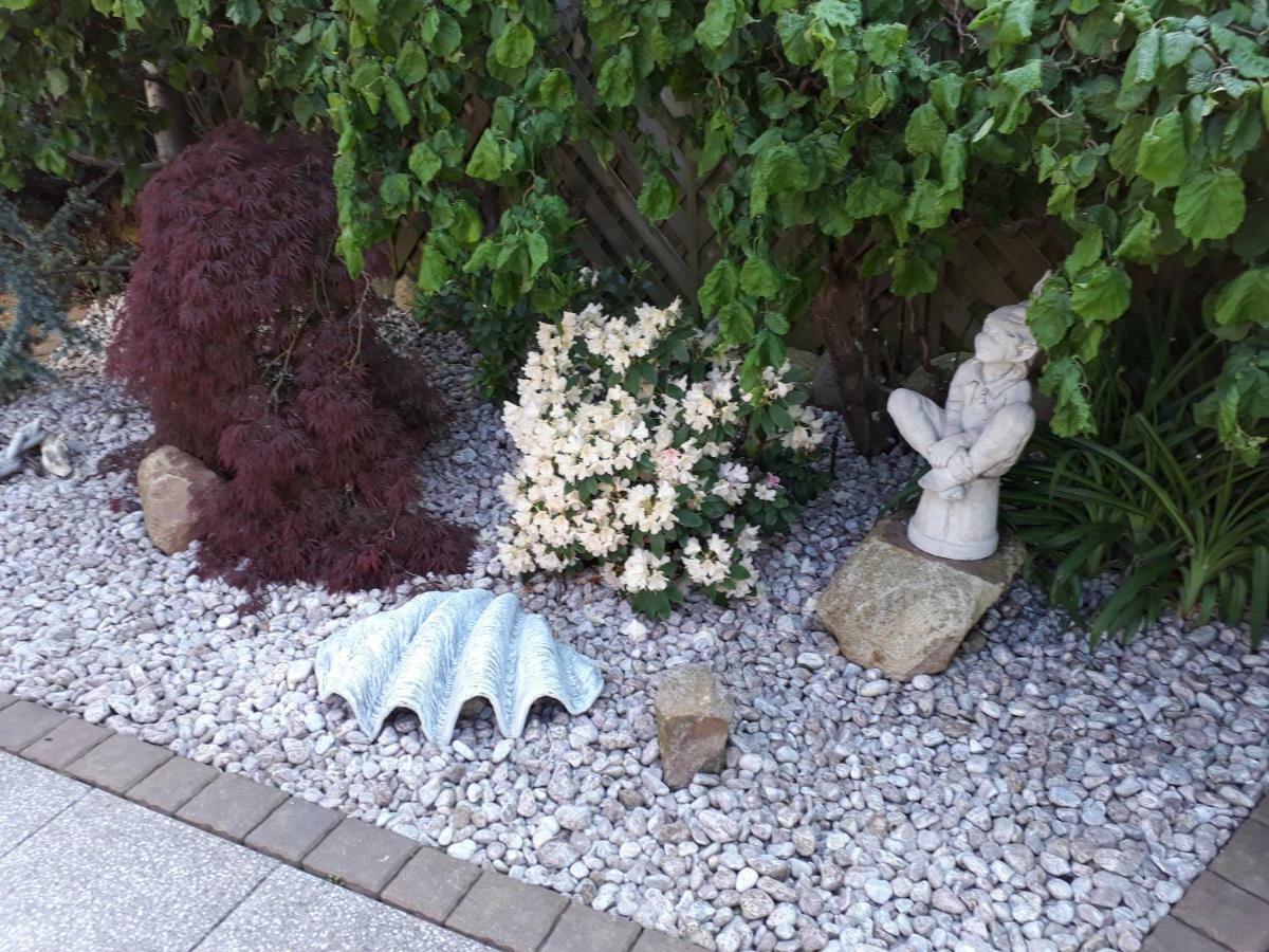 Ostseeferien In Lichtenhagen-Dorf Ferienwohnung Elmenhorst/Lichtenhagen ภายนอก รูปภาพ